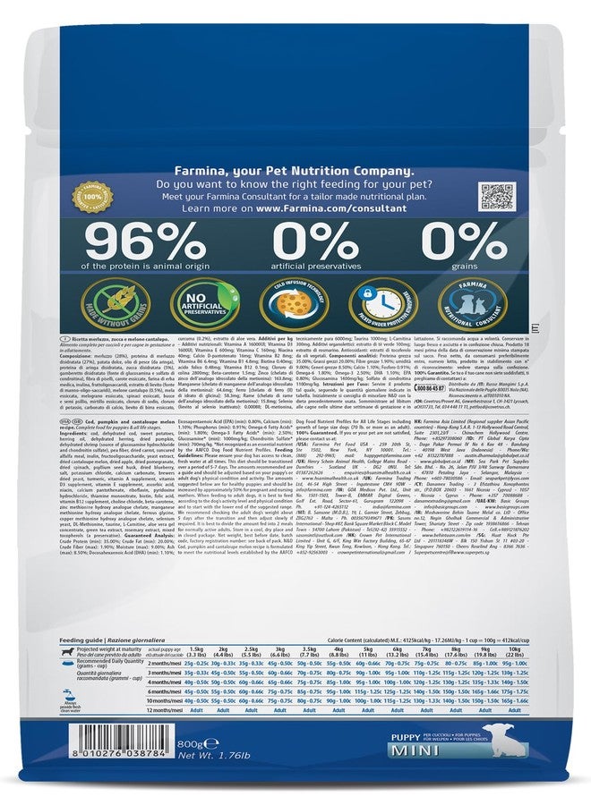 فارمينا طعام فارمينا إن آند دي أوشن بوبي ميني للكلاب | سمك القد، اليقطين، والشمام | يدعم النمو الصحي وتطور الدماغ | غذاء كامل للجراء | 0.8 كجم - Image 2